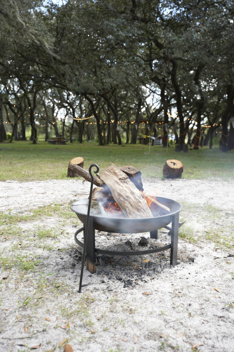 10-25-25 C. Maya -447