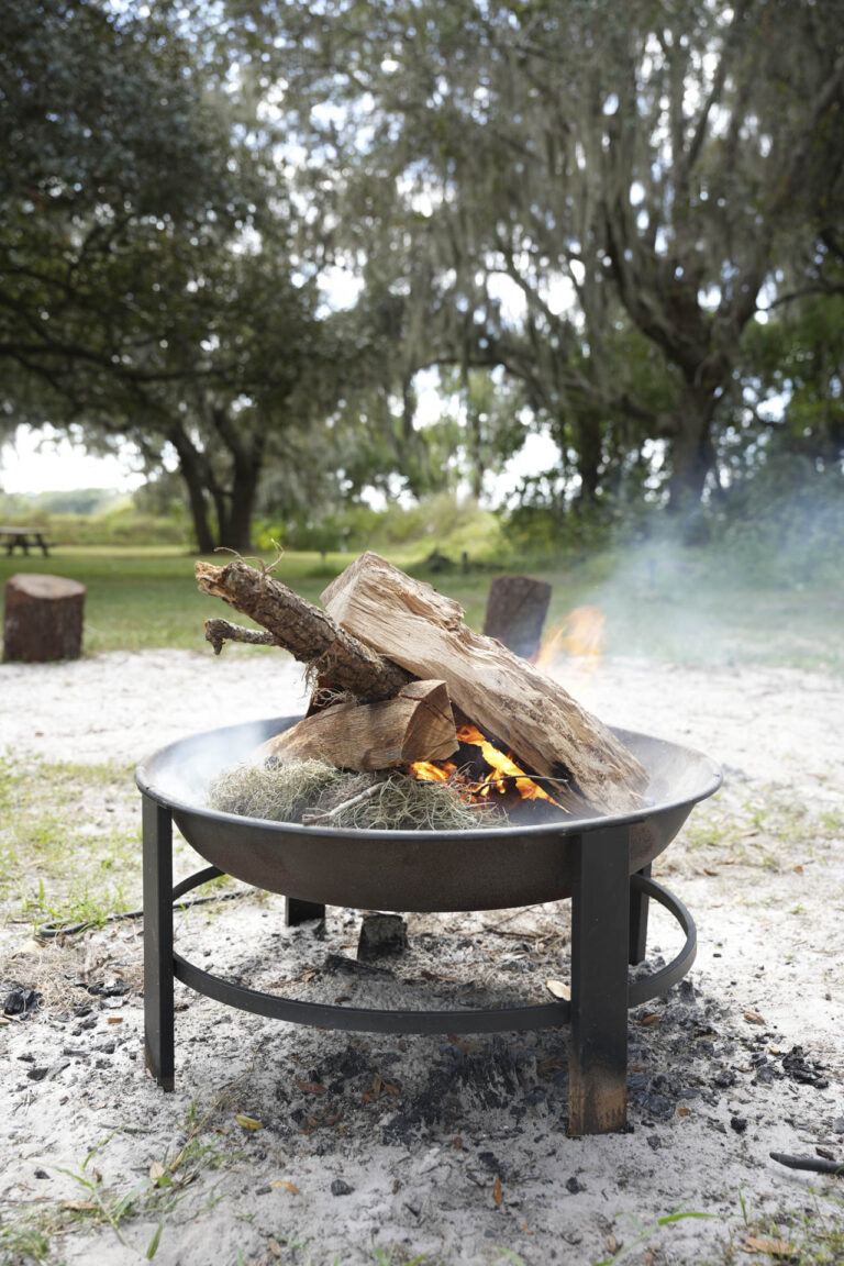 10-25-25 C. Maya -449